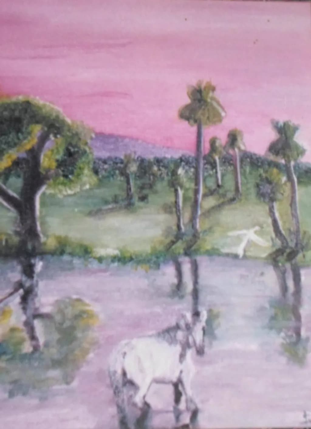 Twilight Marsh