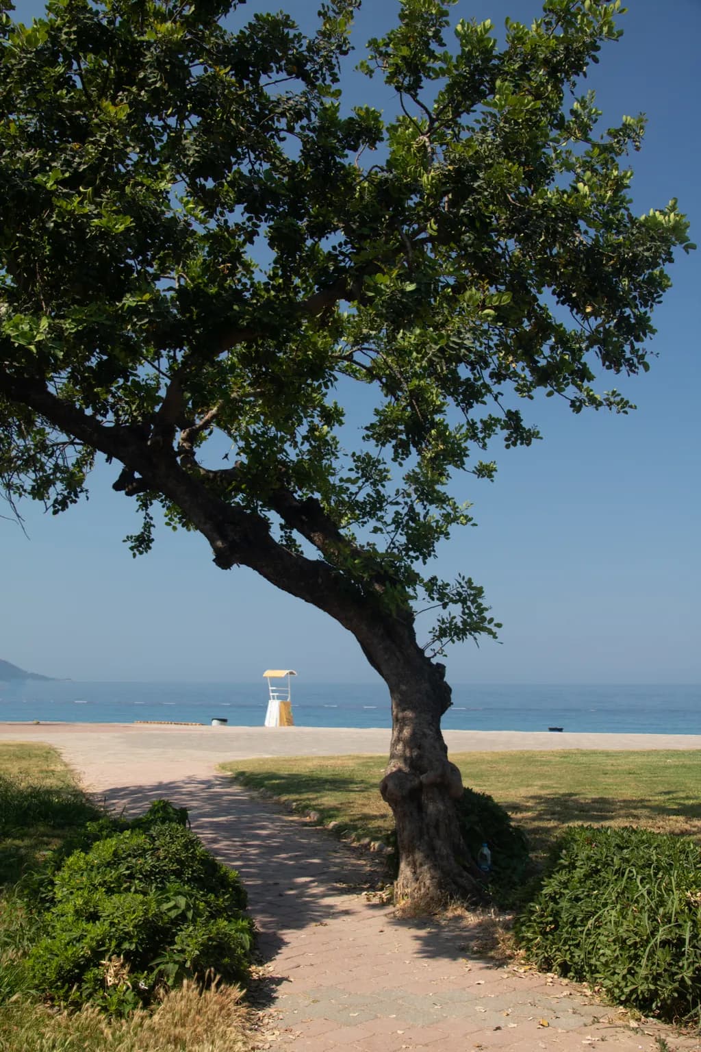 Coastal Pathway