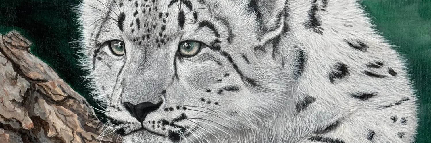 Banner del perfil