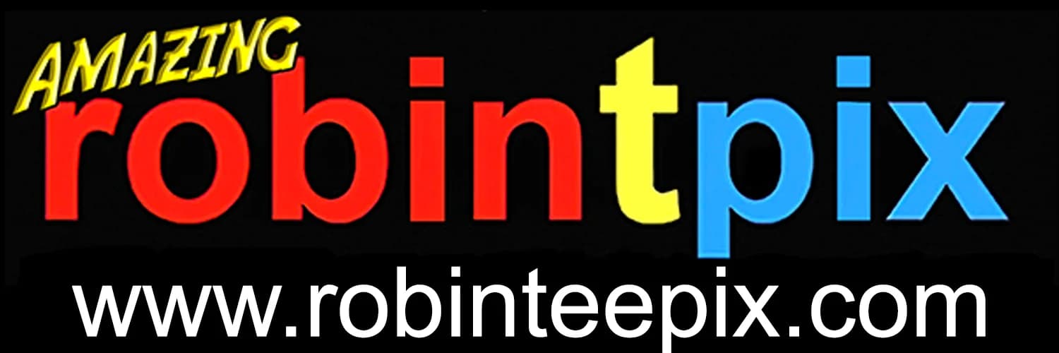 Banner del perfil