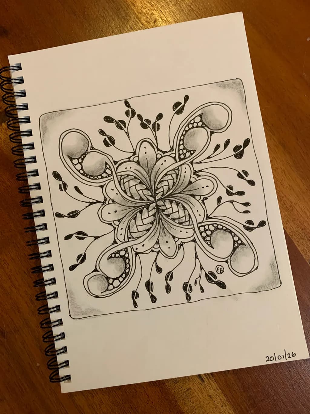 Flowing Mandala Sketch