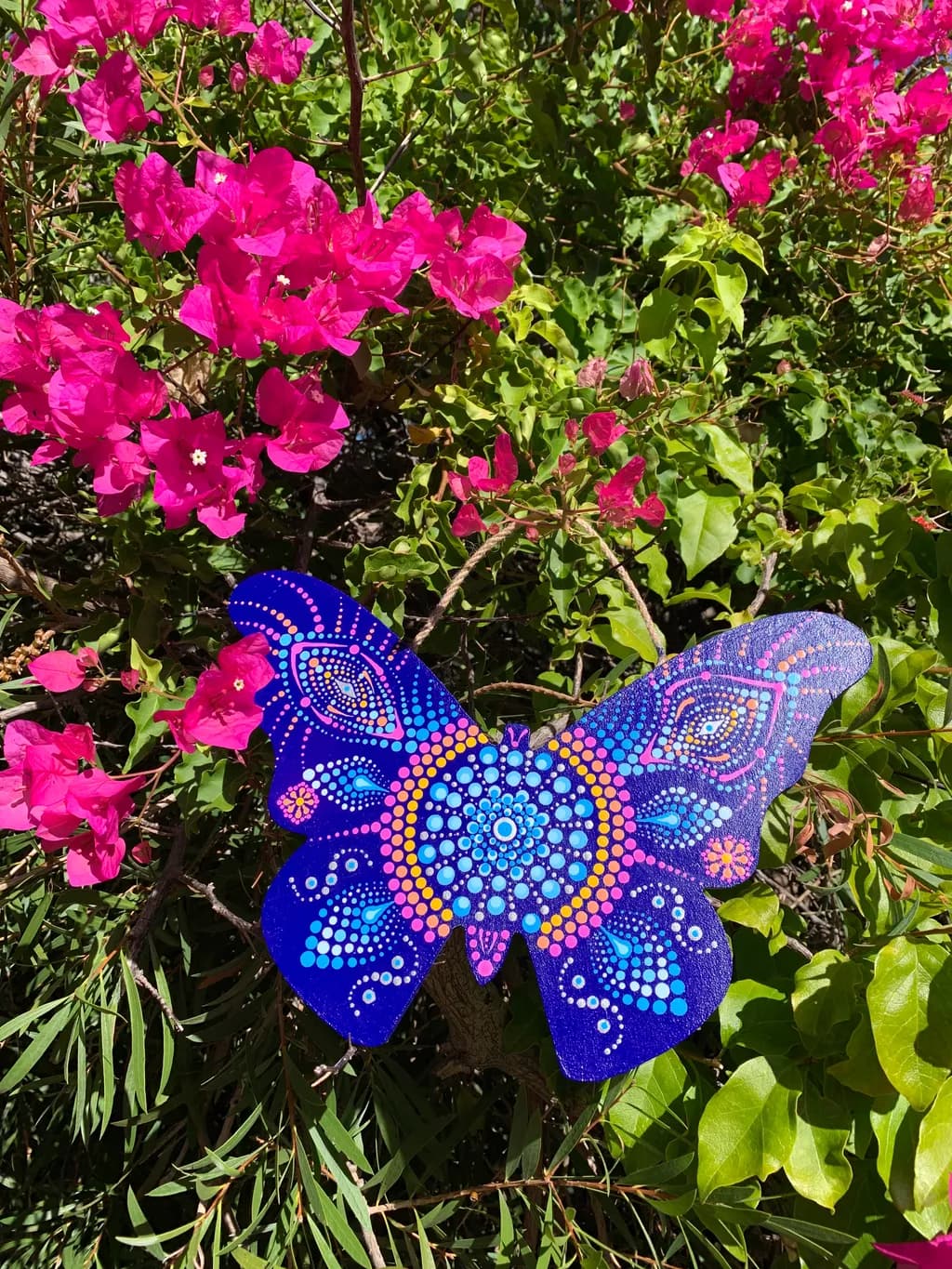 Dotted Harmony Butterfly