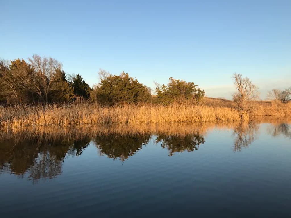 Reflections at Dusk
