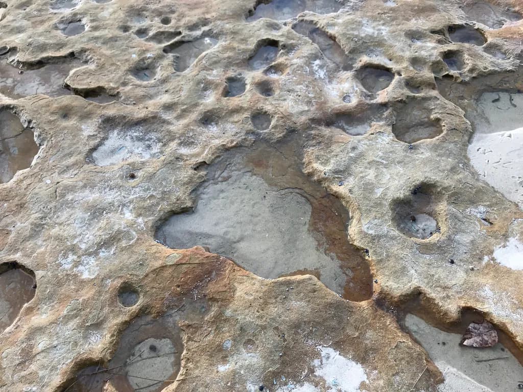 Textured Shoreline