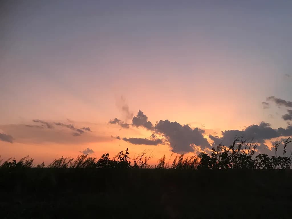 Sunset Silhouette