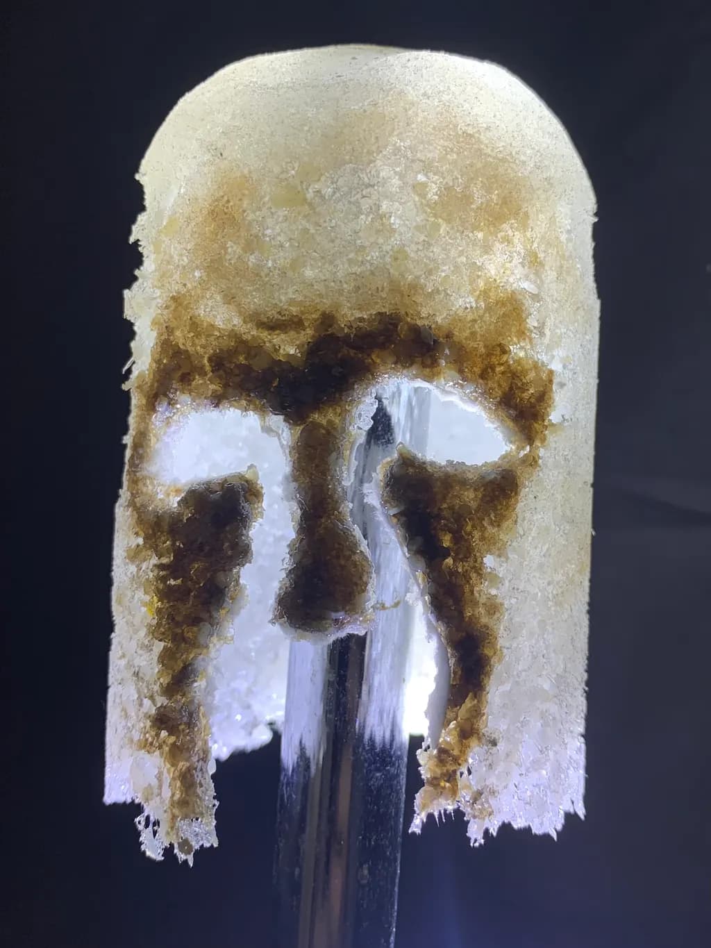 Frozen Sentinel