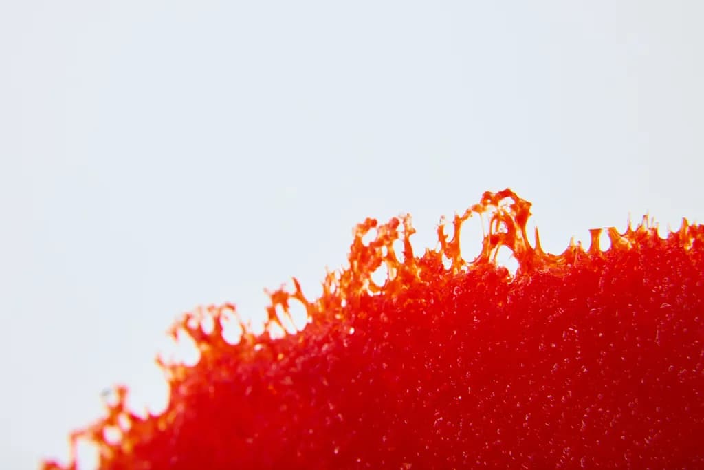 Crimson Lace