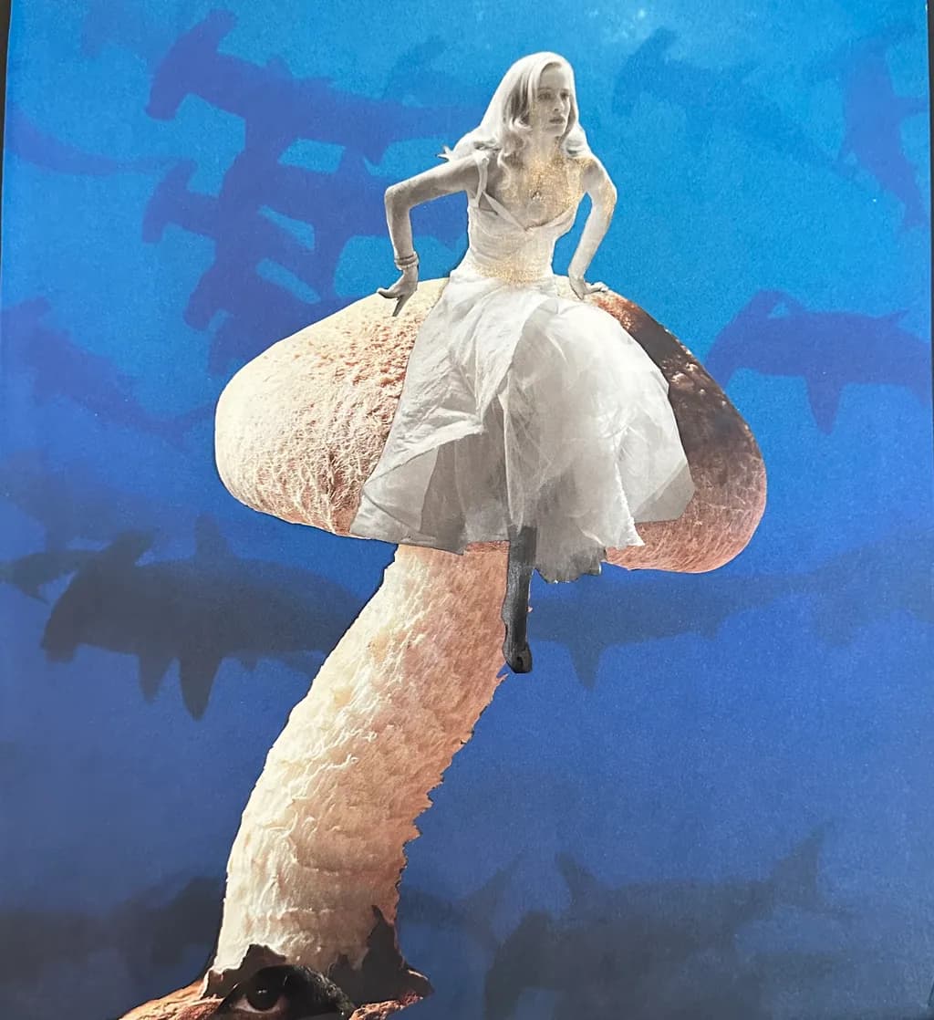 Mushroom Dreams