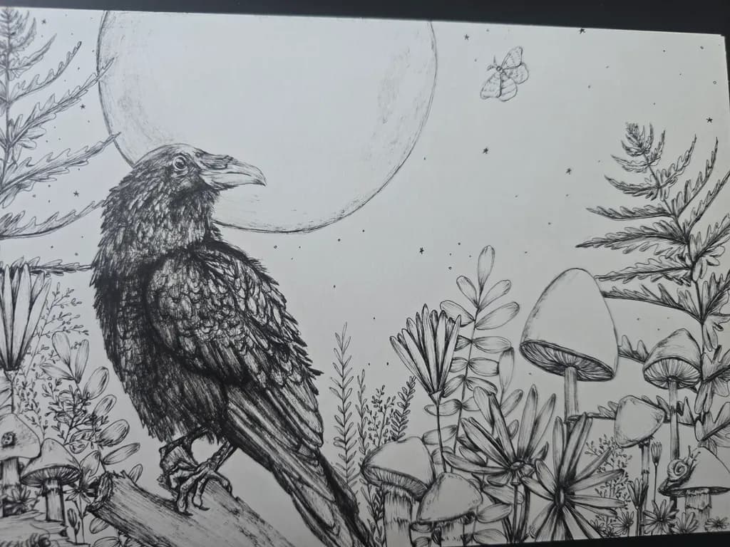 Midnight Watcher