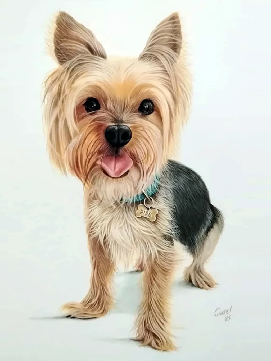 Pipo Portrait