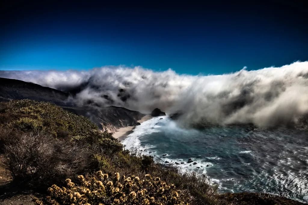 Misty Shoreline
