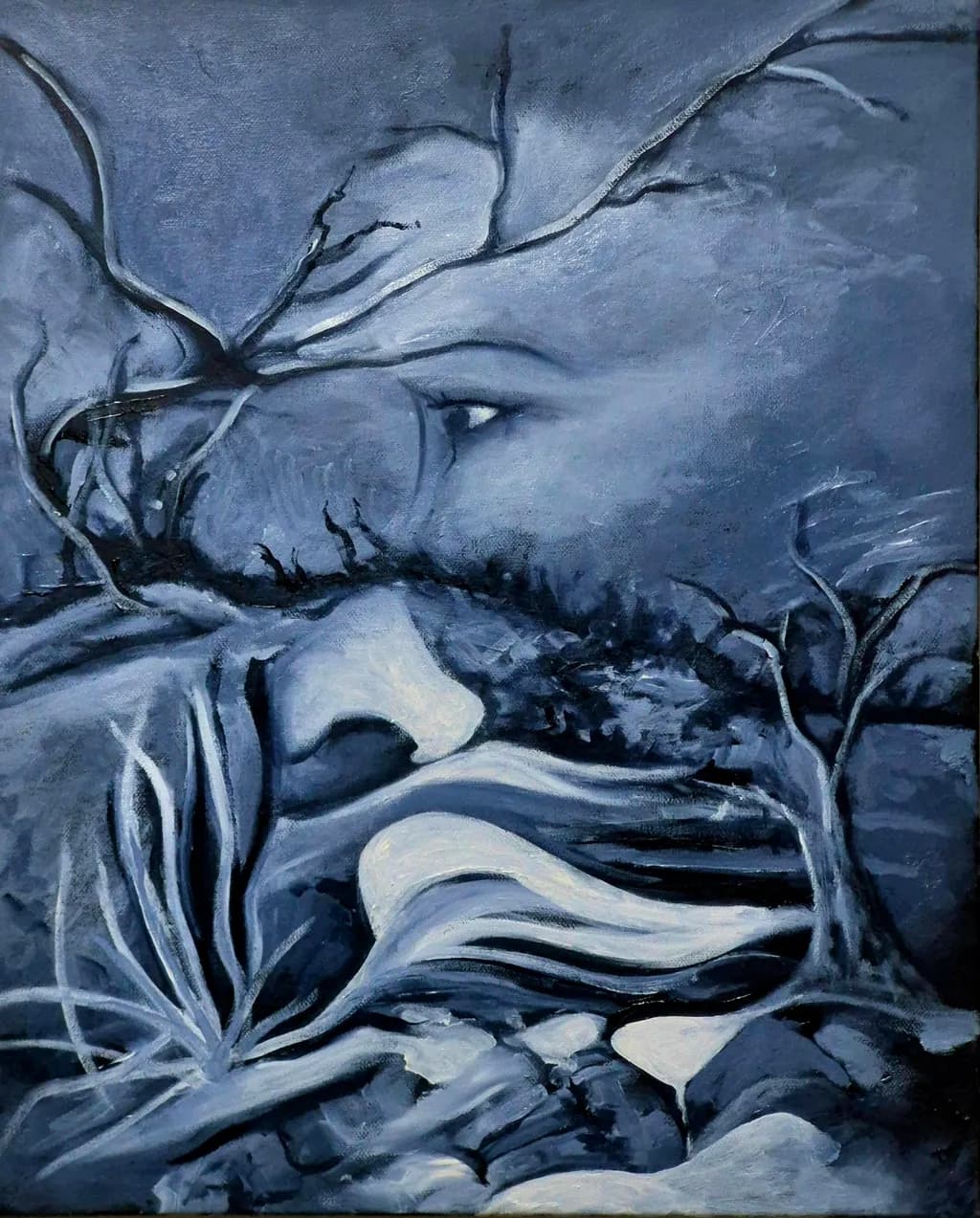 Silent Watcher
