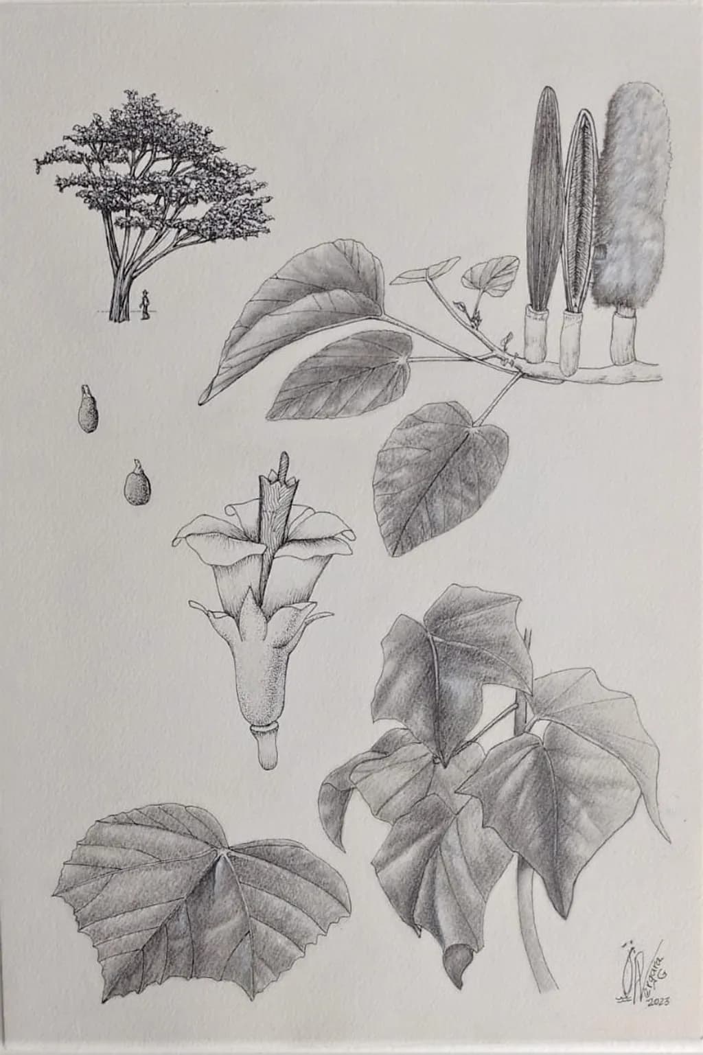 Botanical Harmony