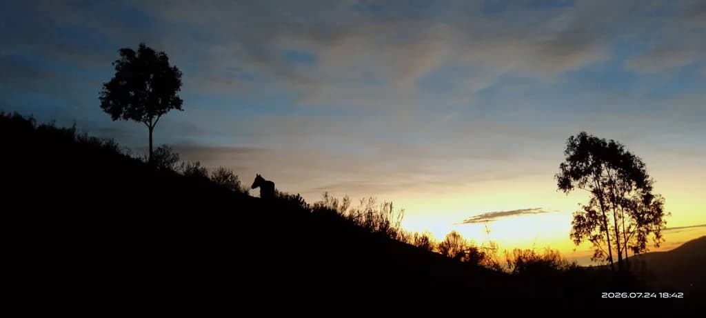 Sunset Hill Silhouette
