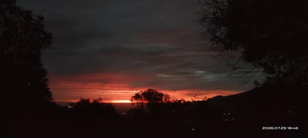 Sunset Silhouette