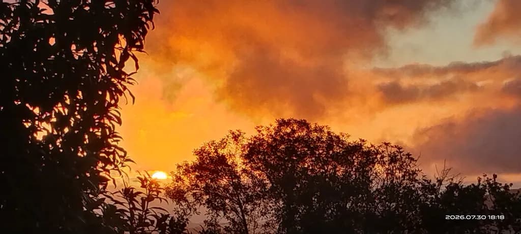 Sunset Silhouettes