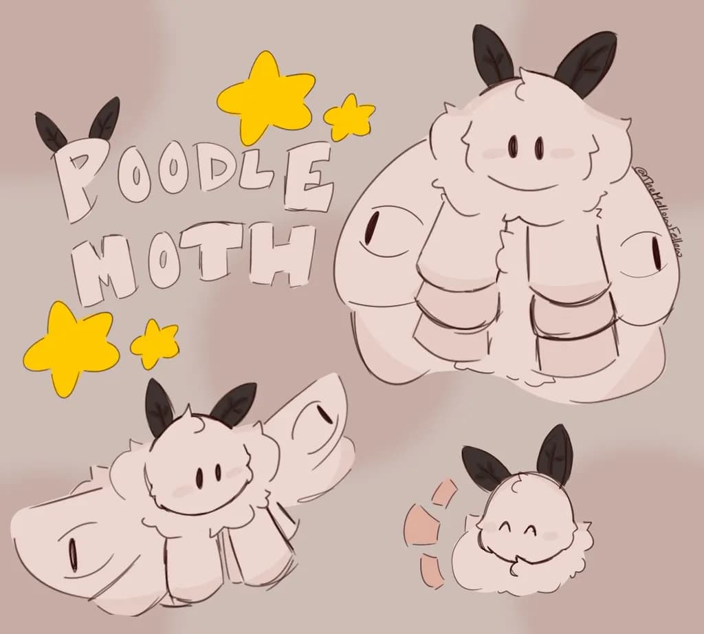 Poodle Moth