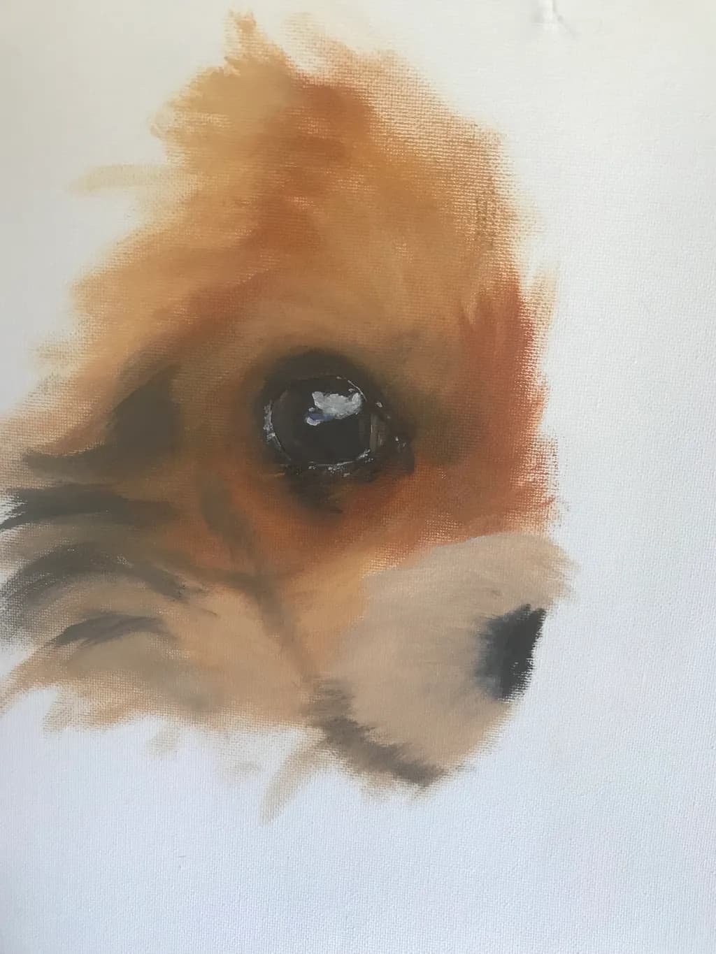Dog Study