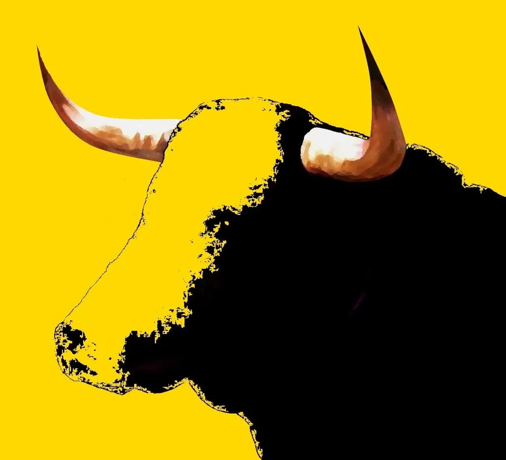 Bold Bull