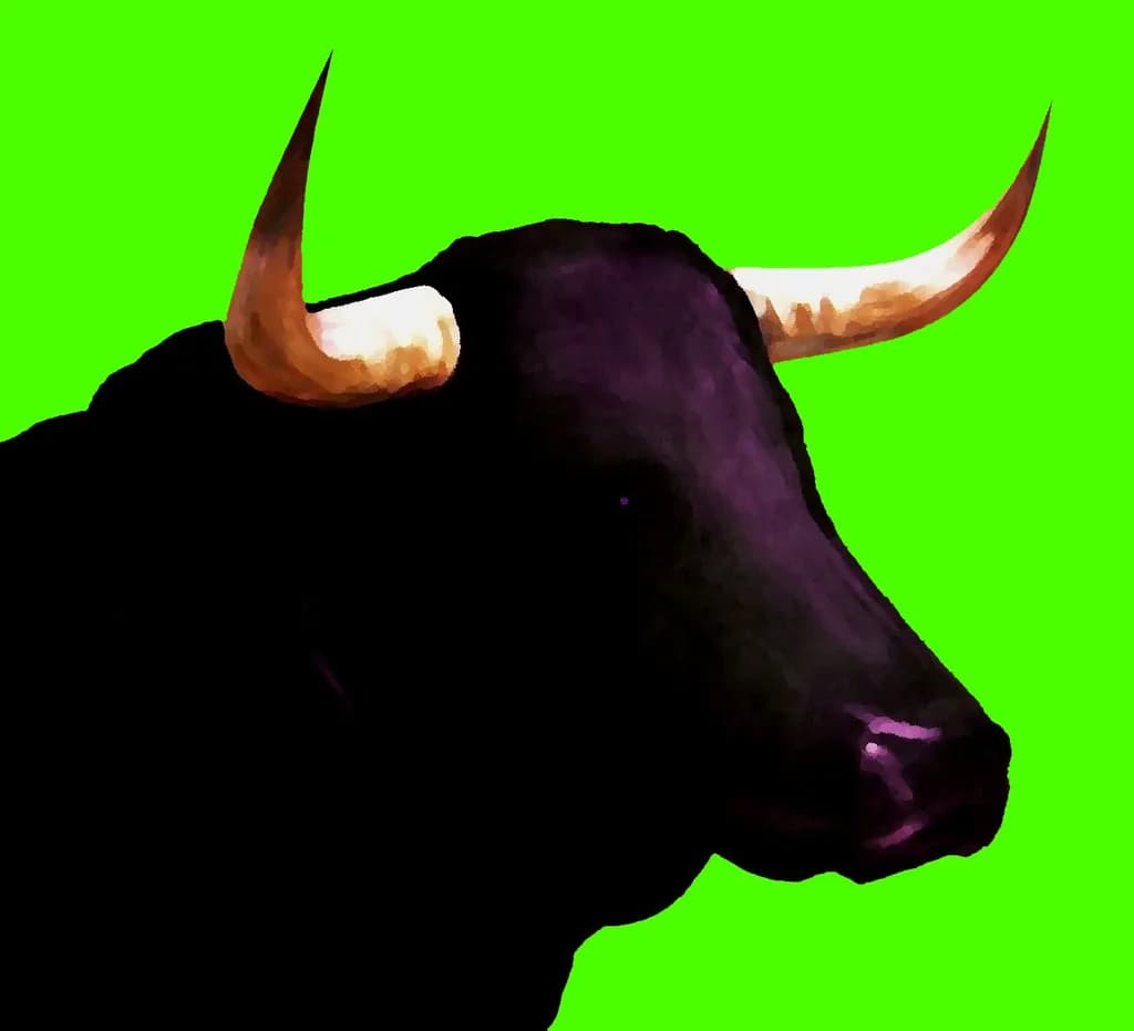 Bull's Gaze