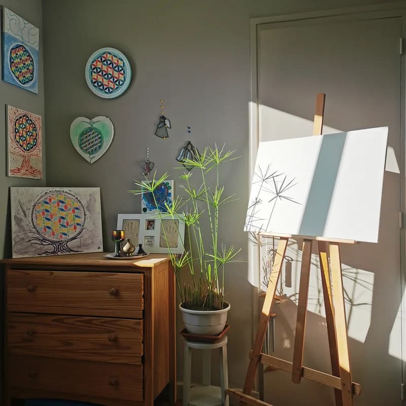 Studio photo