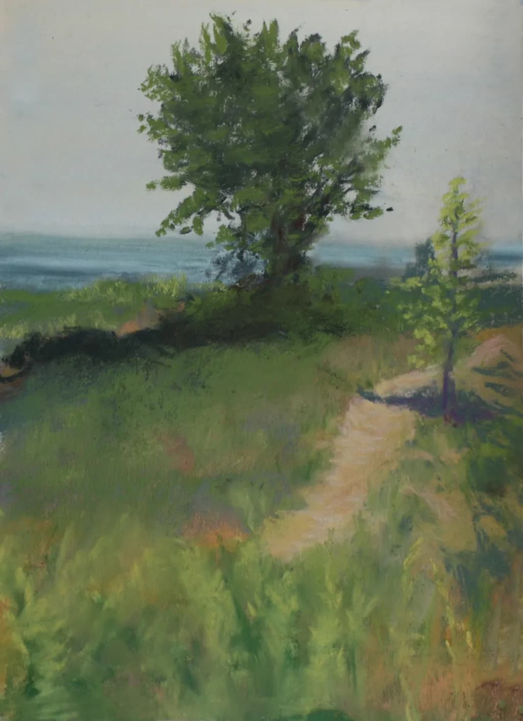 Coastal Greenery
