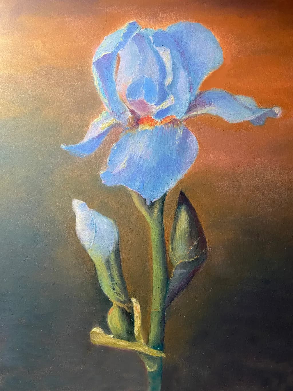 Blue Iris Blossom
