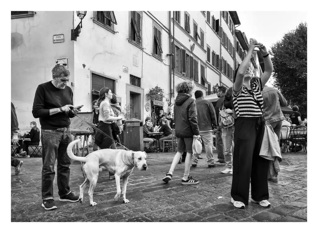 A Dog's Life in Florence