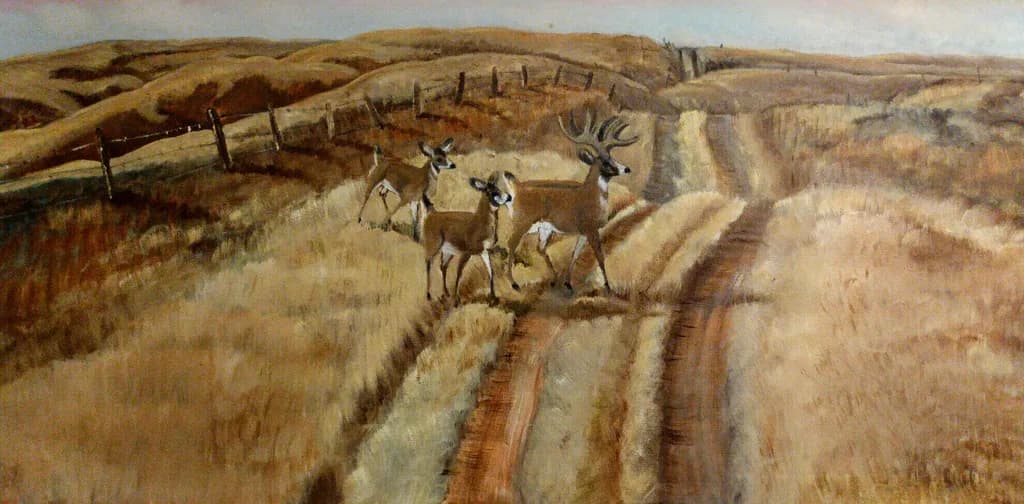 Deer in the Fields