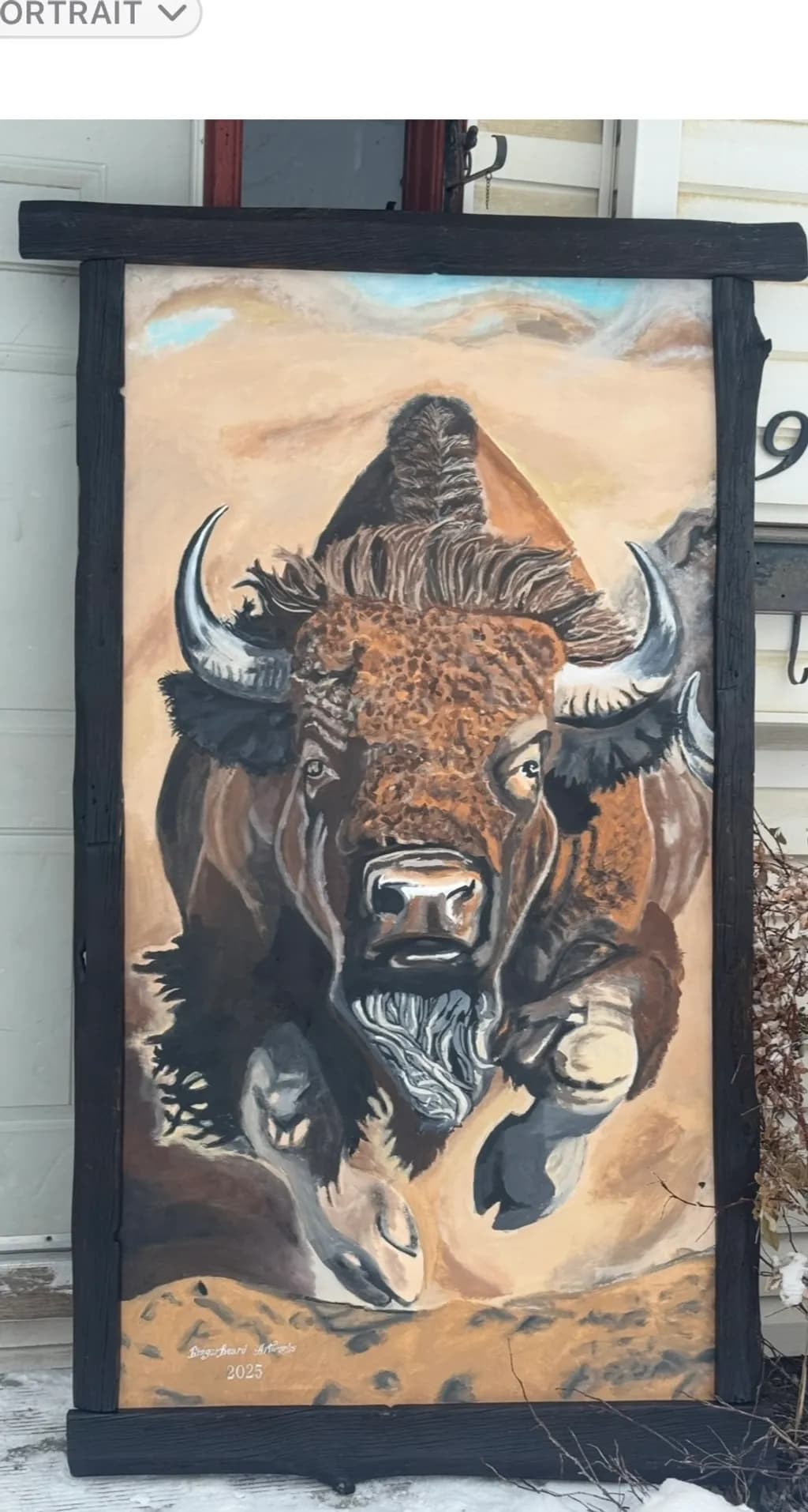 Charging Bison