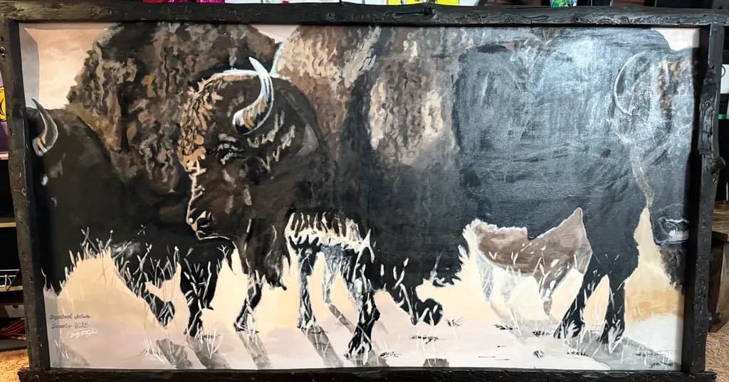 Bison Herd