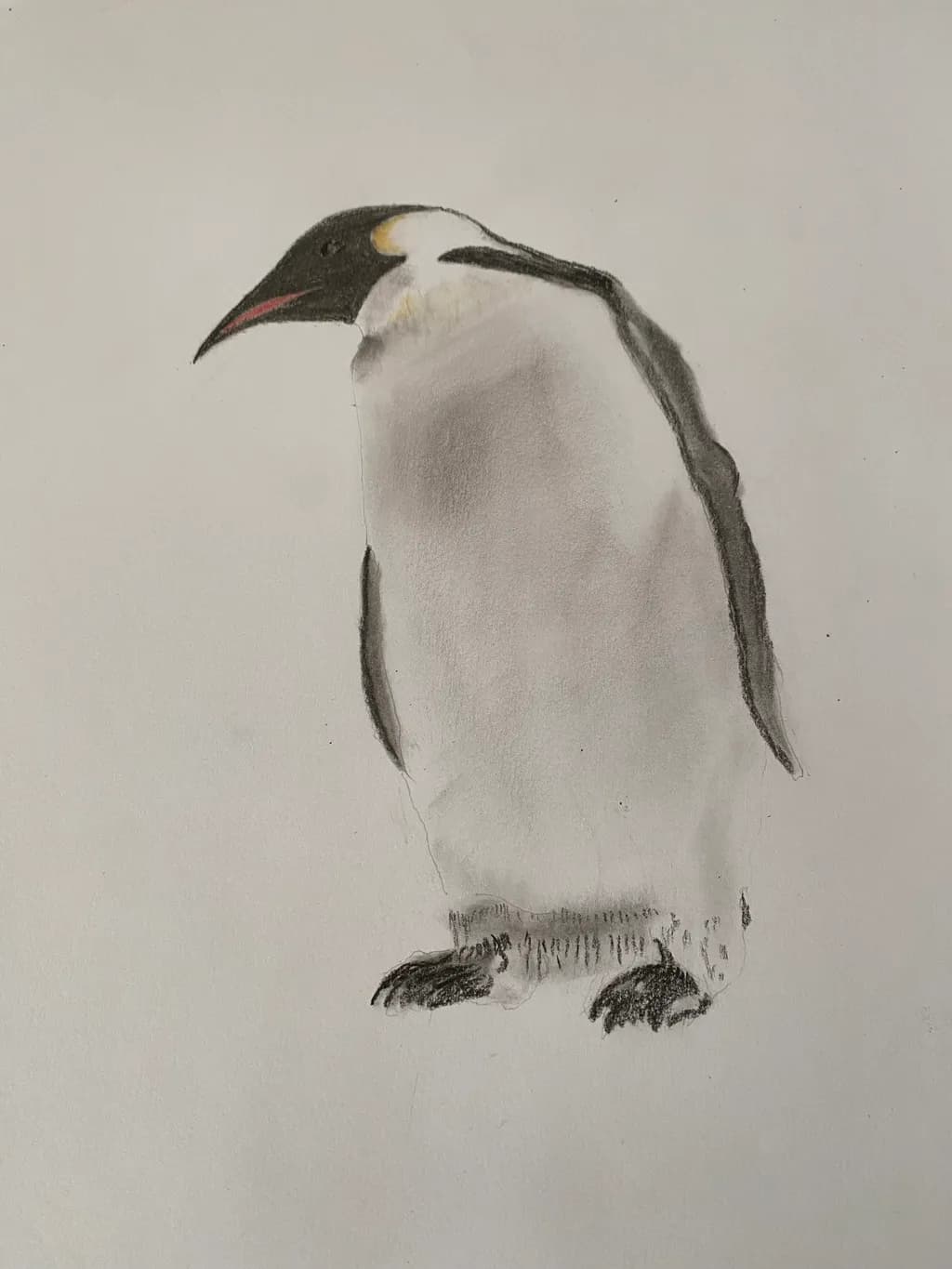 Penguin Sketch