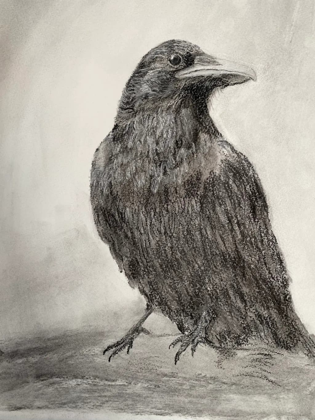 Crow Finished