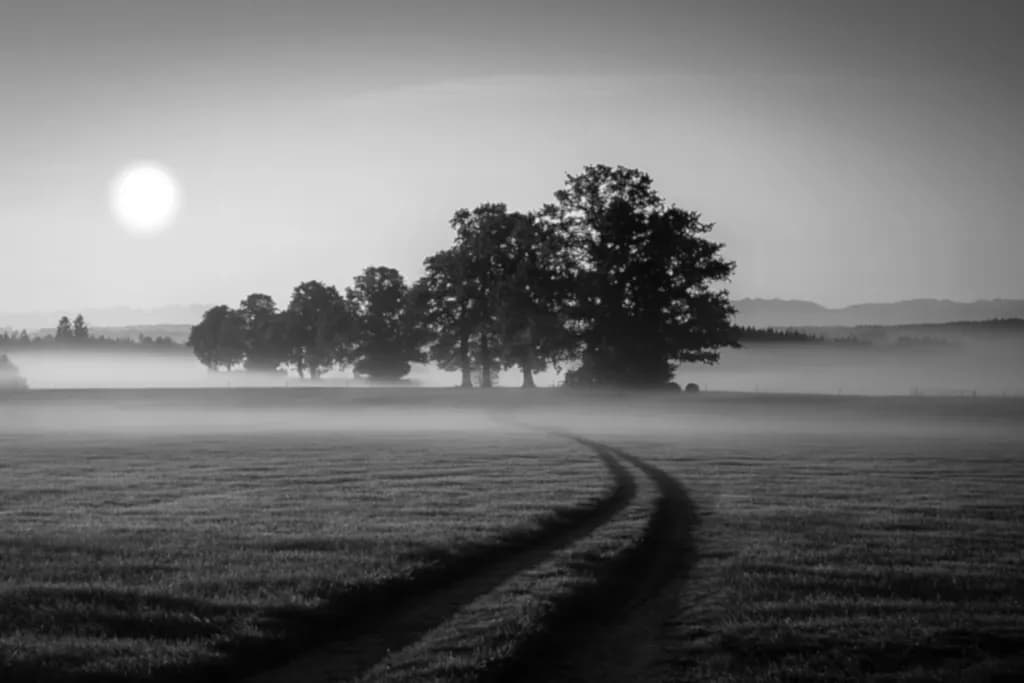 Misty Landscape