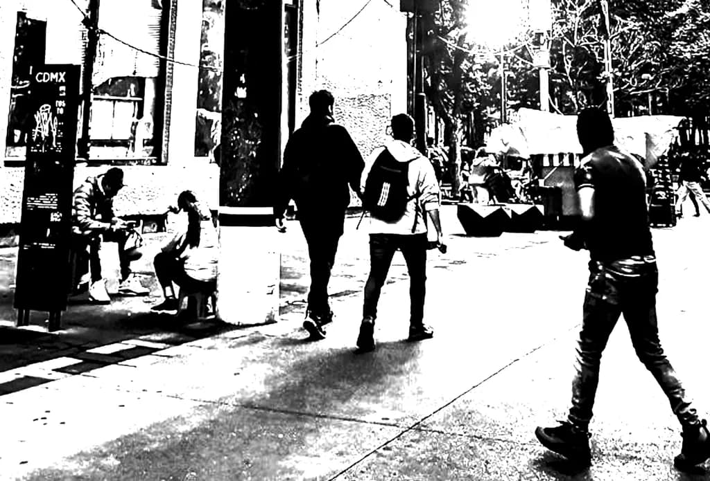 Urban Dynamics