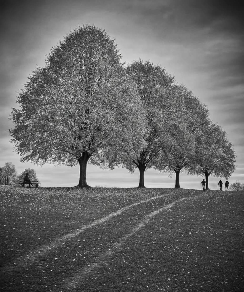 Autumn Pathways