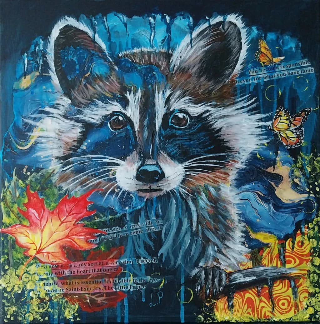Raccoon Reverie