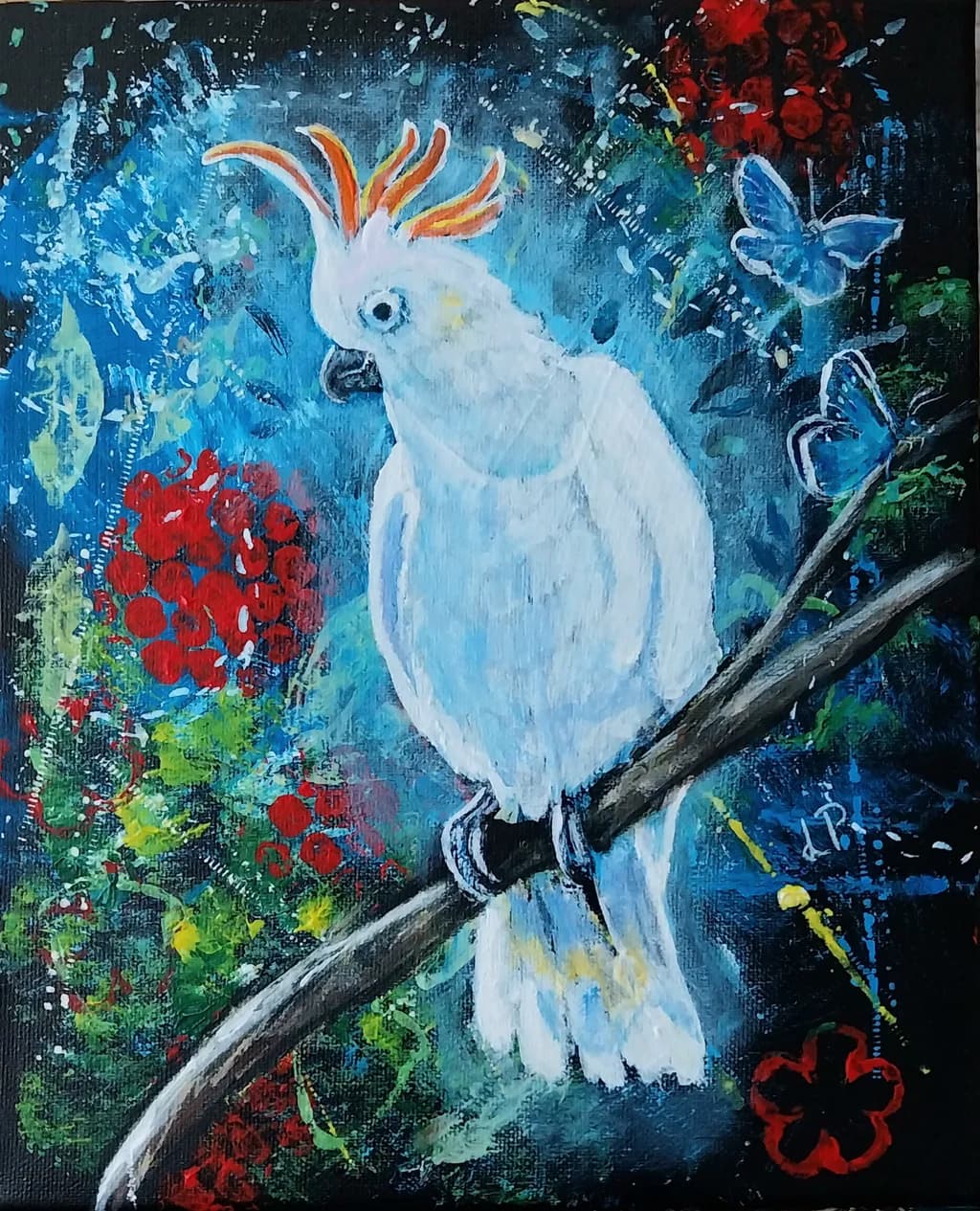 Cockatoo Serenade