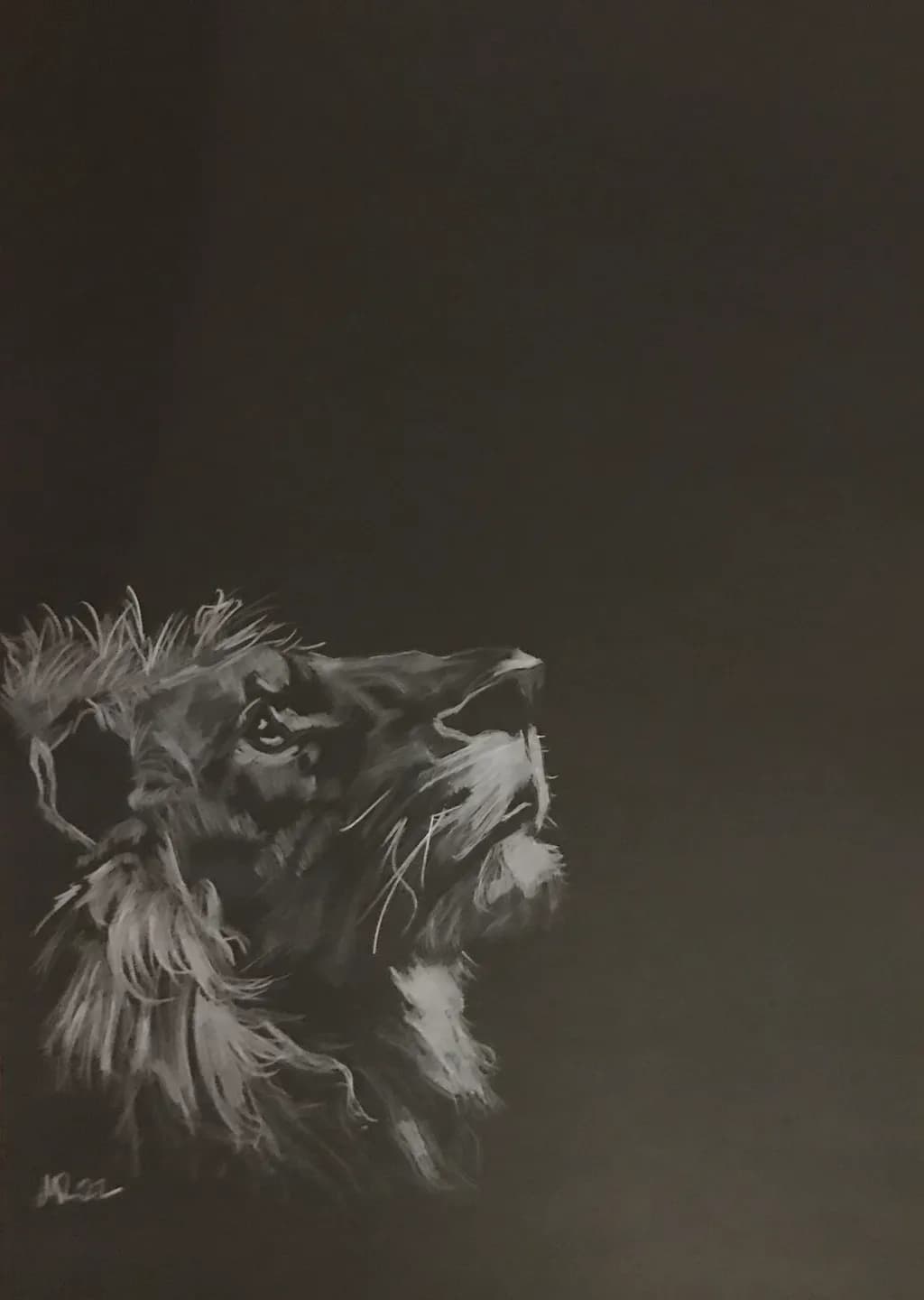 Lion Profile