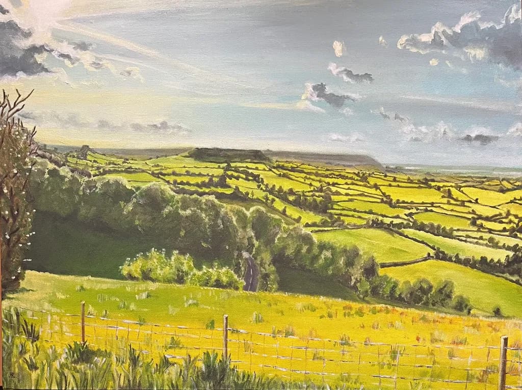 Sunlit Countryside Fields