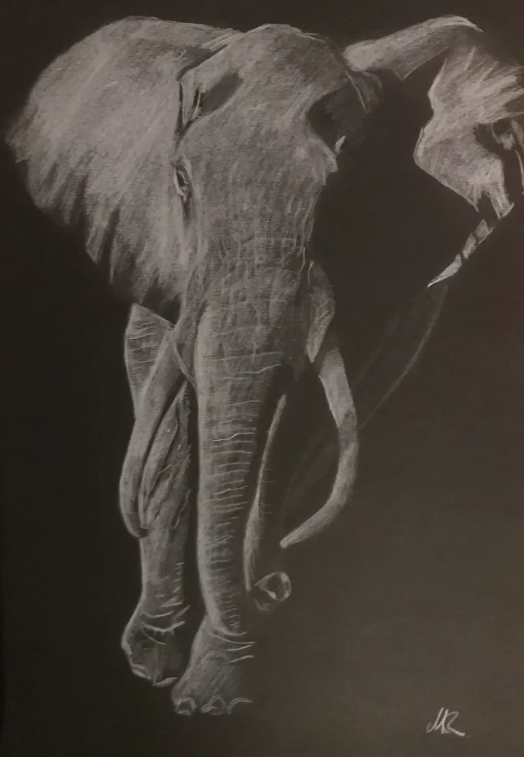 Elephant Silhouette