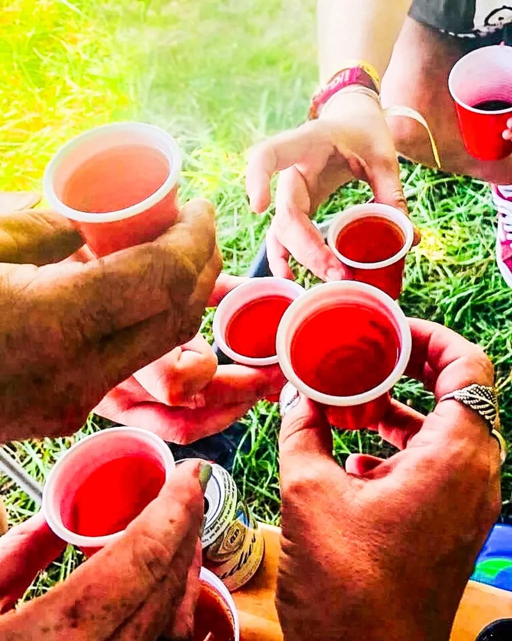 Lifestyle Cheers