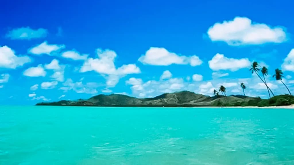 Beach Backdrop