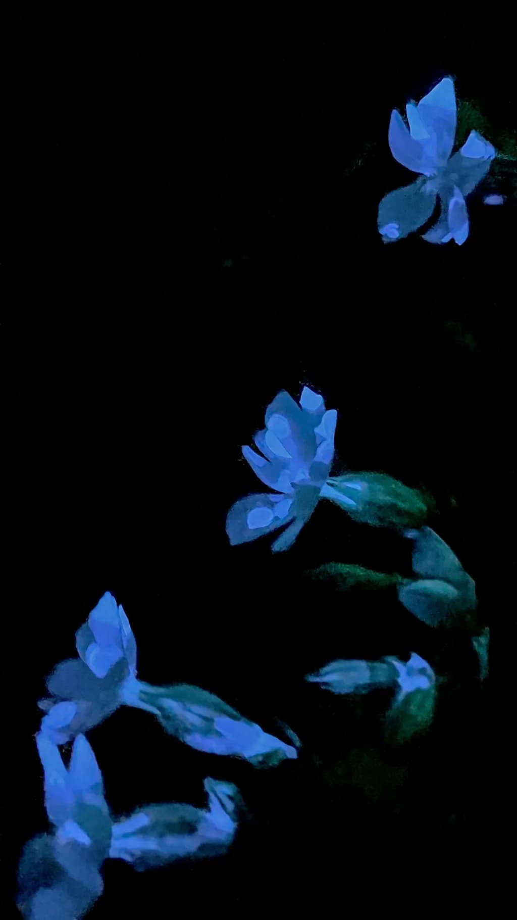Moody Nights