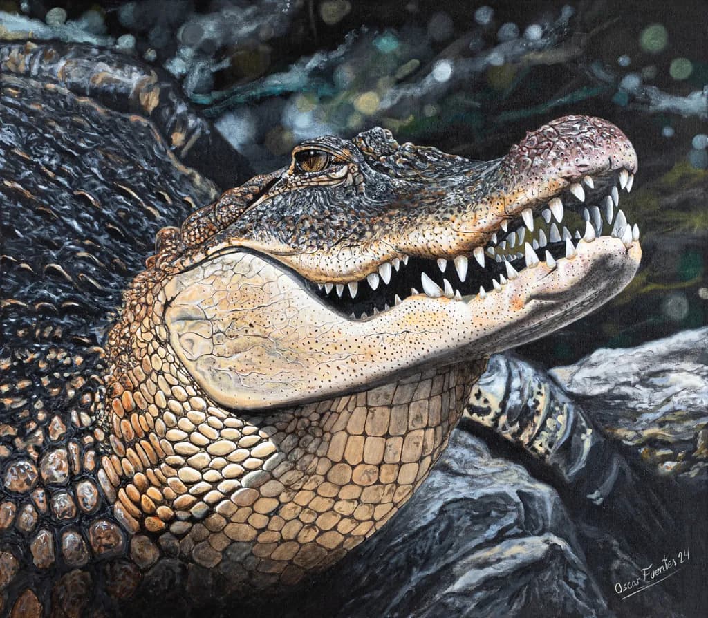 Alligator Close-Up