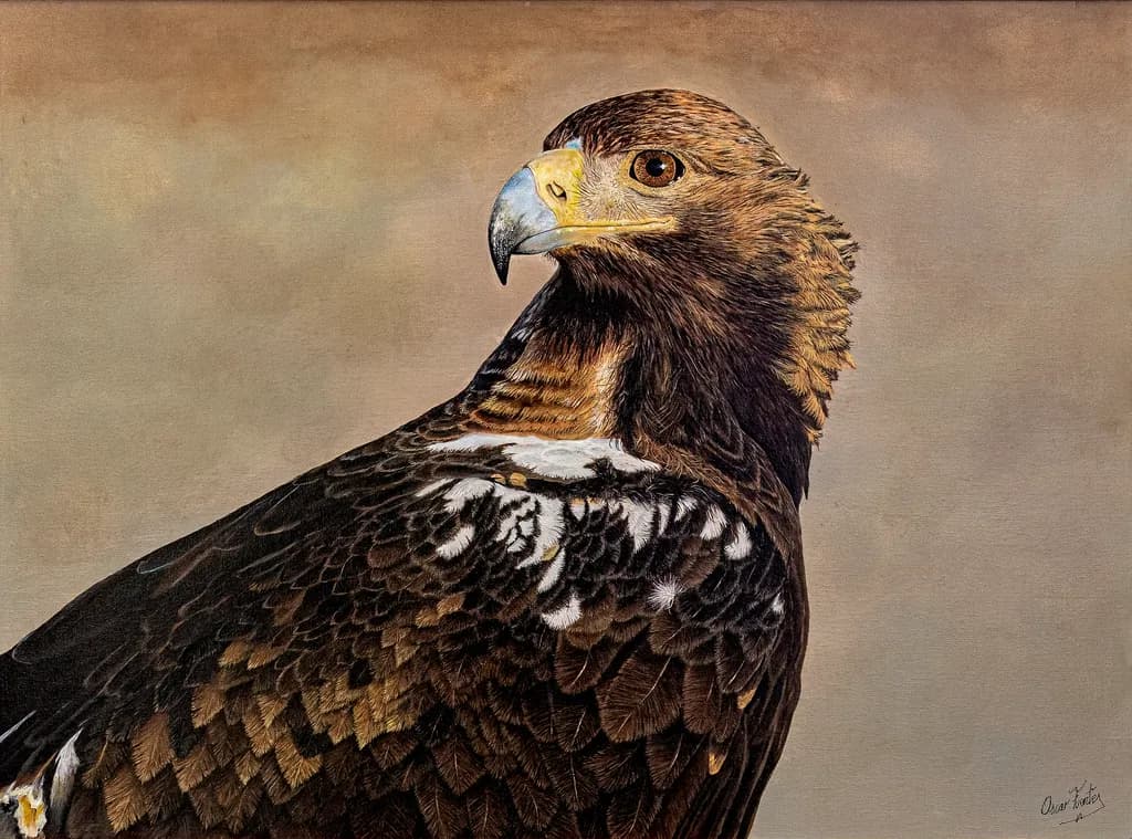 Golden Eagle Portrait