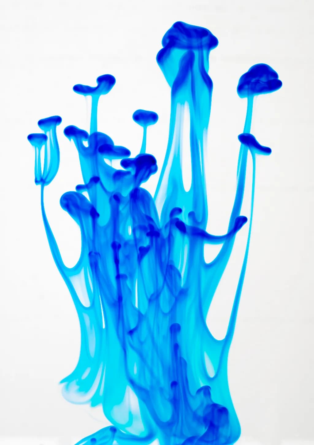 Blue Medusas