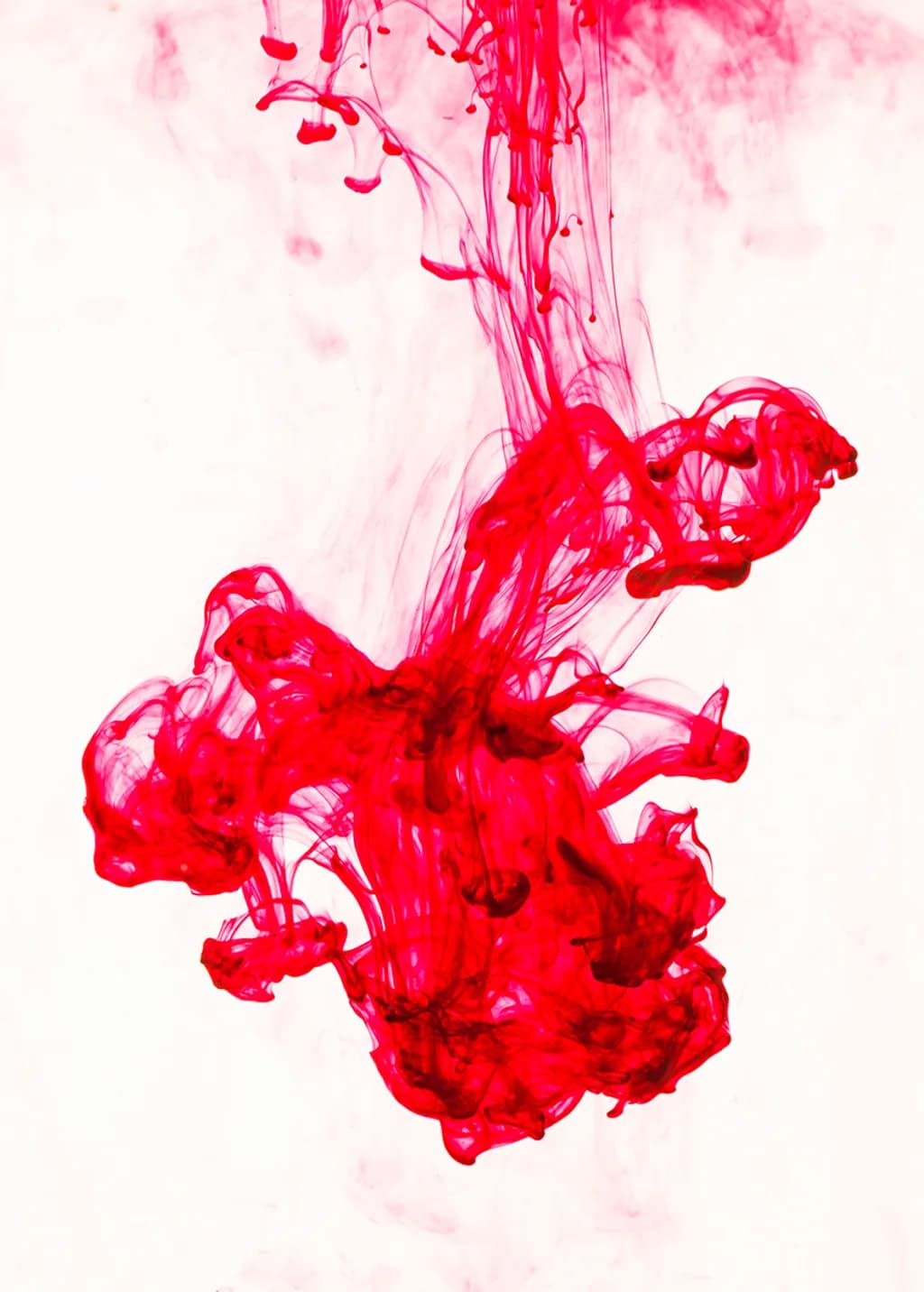 Flamenco