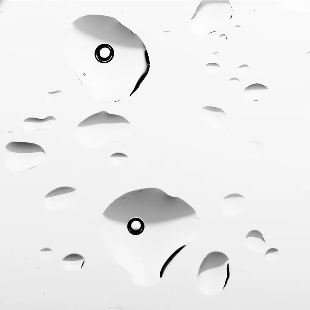 Poissons
