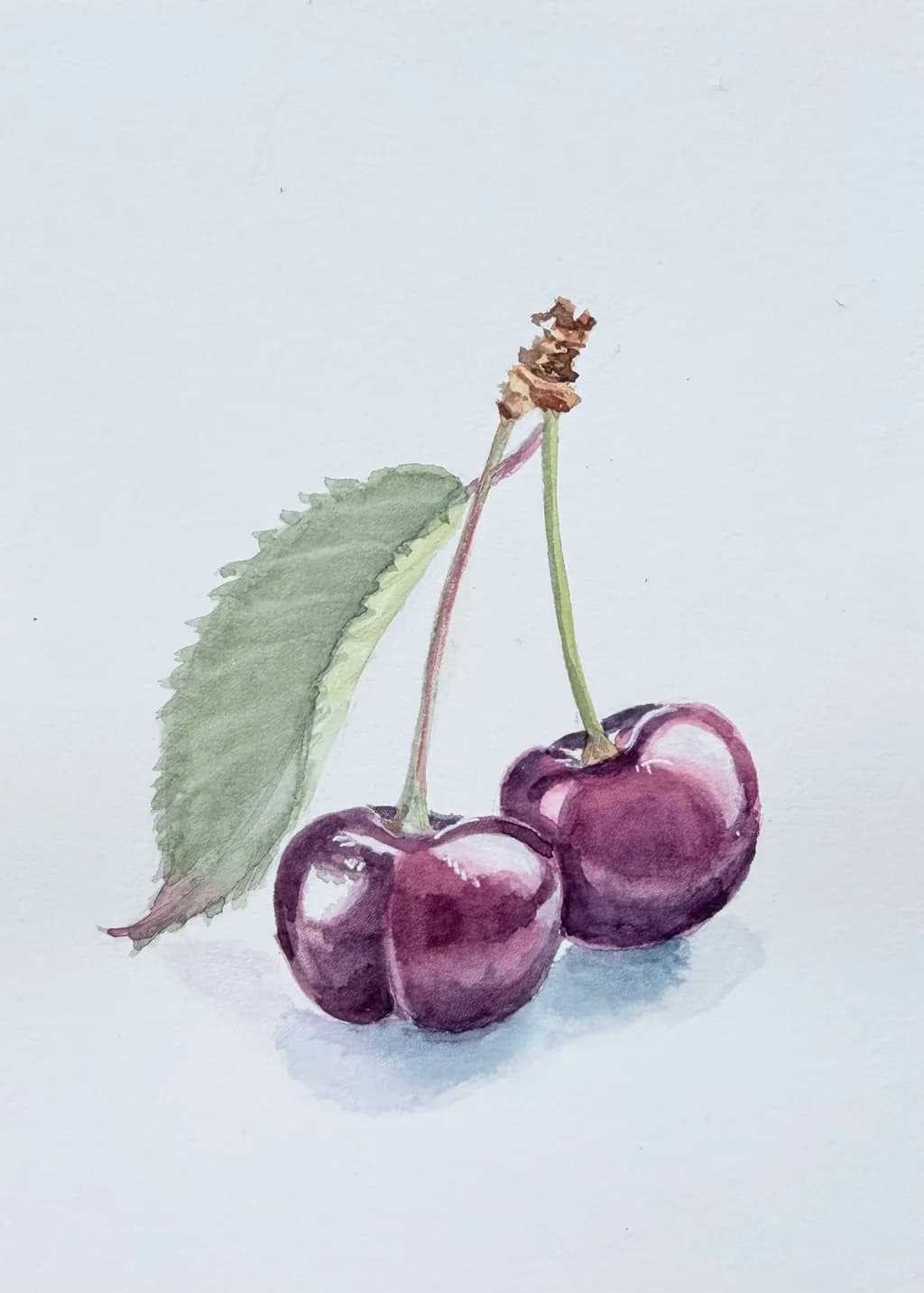 Cherry Duo with Leaf